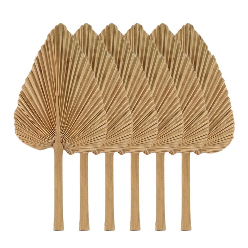 Palm Leaf Dried - AT84-6PCS Feuilles de palmier séchées naturelles,