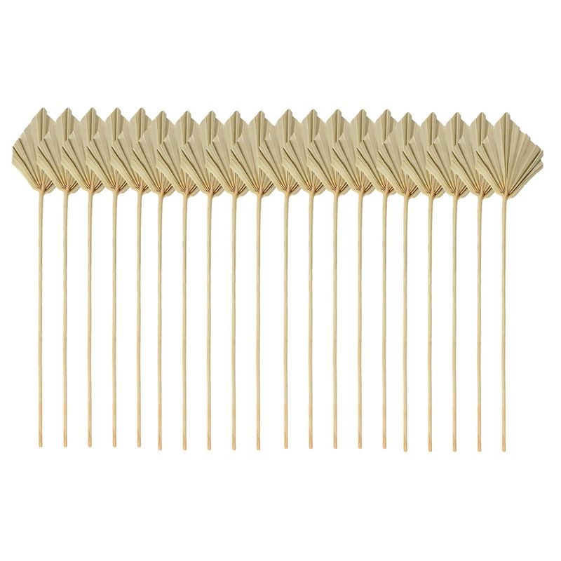 Palm Leaf Dried - ABYN-Boho Petites feuilles de palmier séchées