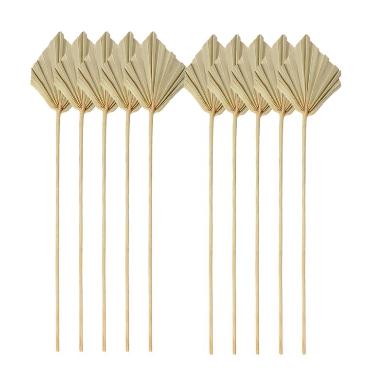 Palm Leaf Dried - TFORU-Boho Petites feuilles de palmier séchées