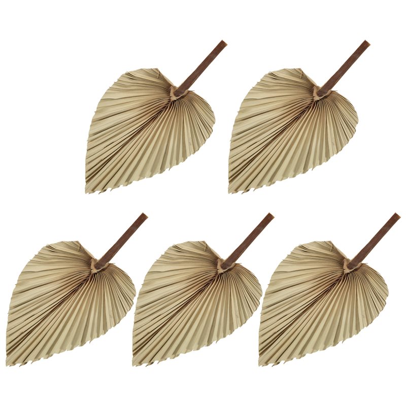 Palm Leaf Dried - SEWS-5 feuilles de palmier séchées naturelles,