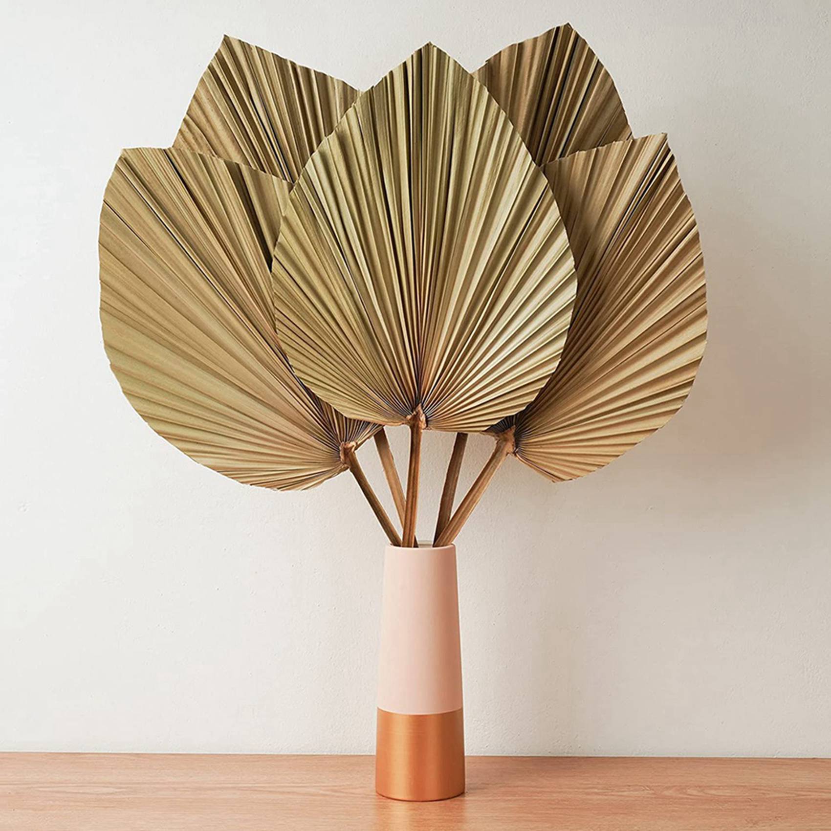 Palm Leaf Dried - Feuilles de palmier séchées pour décoration