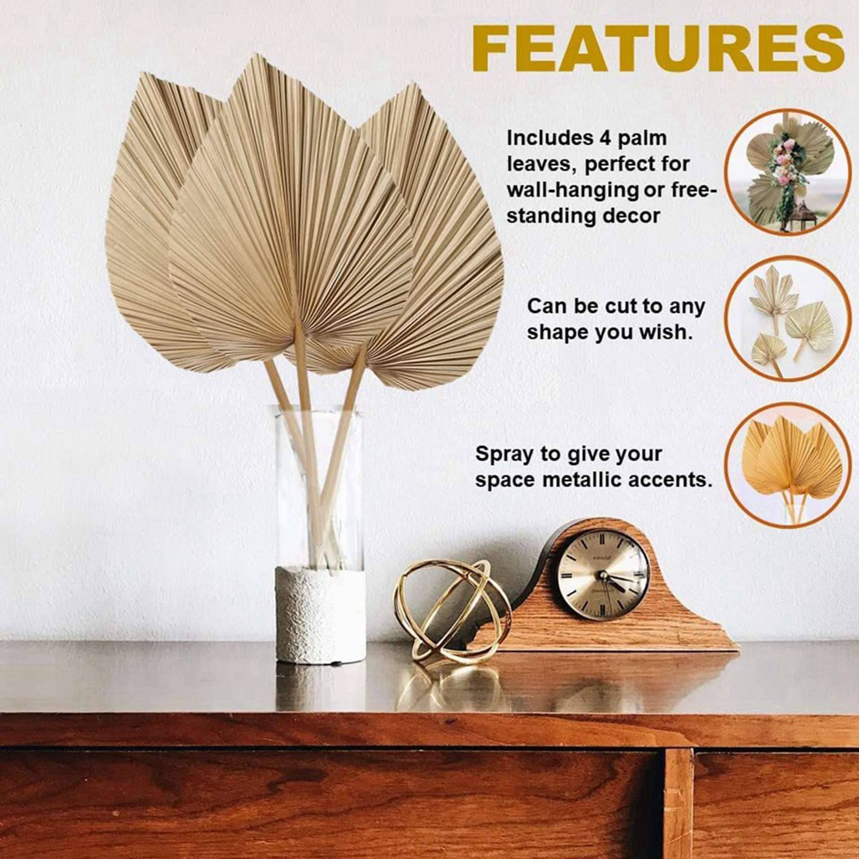 8 feuilles de palmier séchées  - Palm Leaf Dried avis et prix