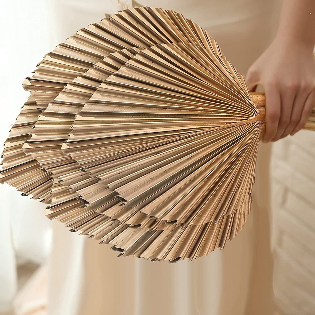 Feuilles de Palmier vaccées Na - Palm Leaf Dried avis et prix