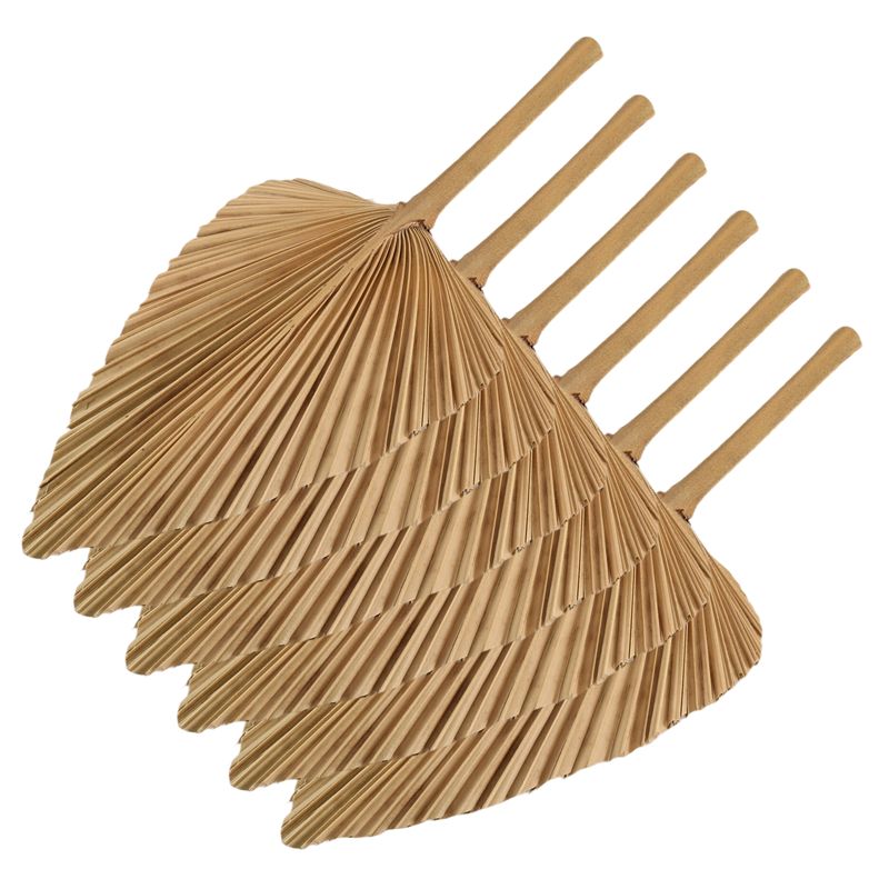 AT84-6PCS Feuilles de palmier  - Palm Leaf Dried avis et prix