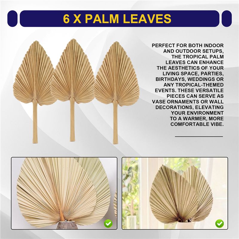 AT84-6PCS Feuilles de palmier  - Palm Leaf Dried avis et prix