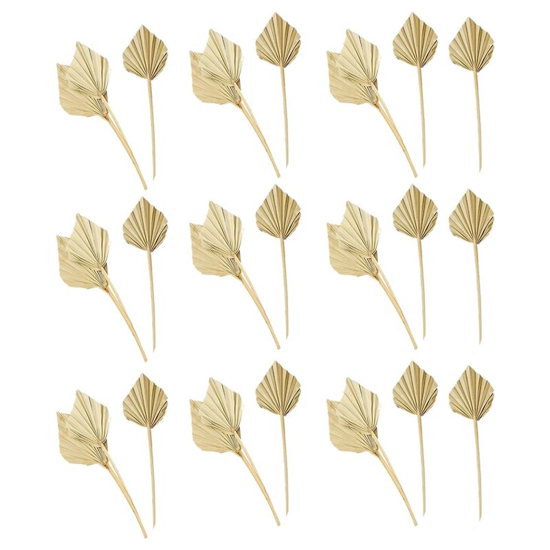AS60-30 Pièces de feuilles de  - Palm Leaf Dried avis et prix