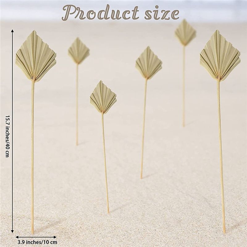 AS60-30 Pièces de feuilles de  - Palm Leaf Dried avis et prix