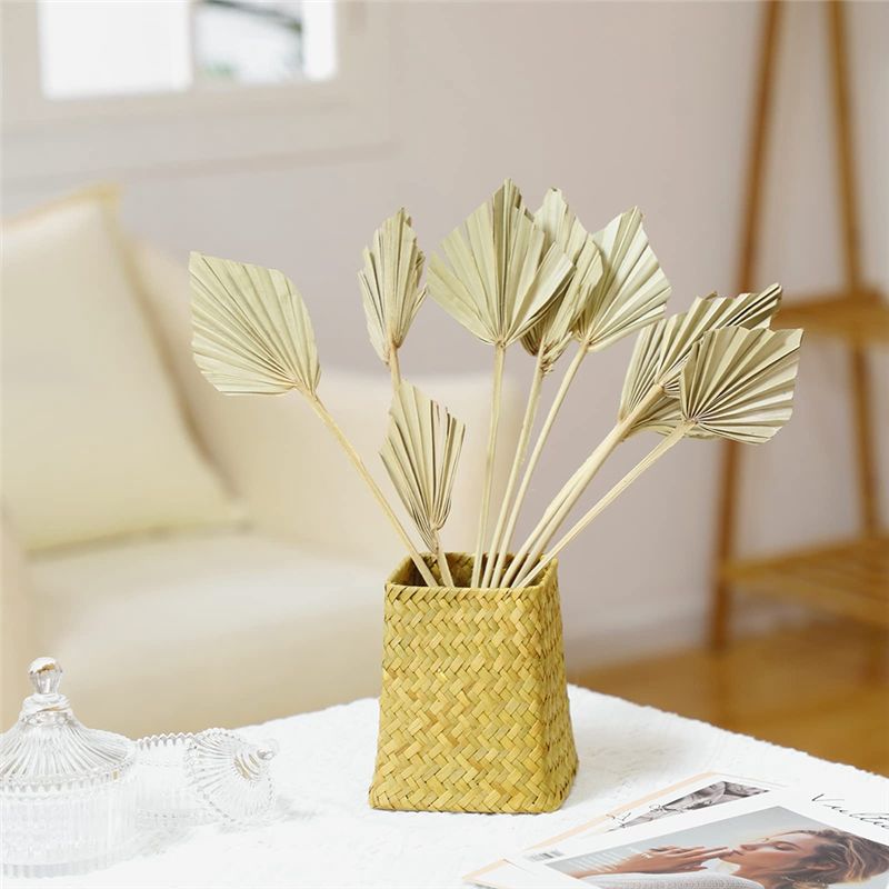 TFORU-Boho Petites feuilles de - Palm Leaf Dried avis et prix