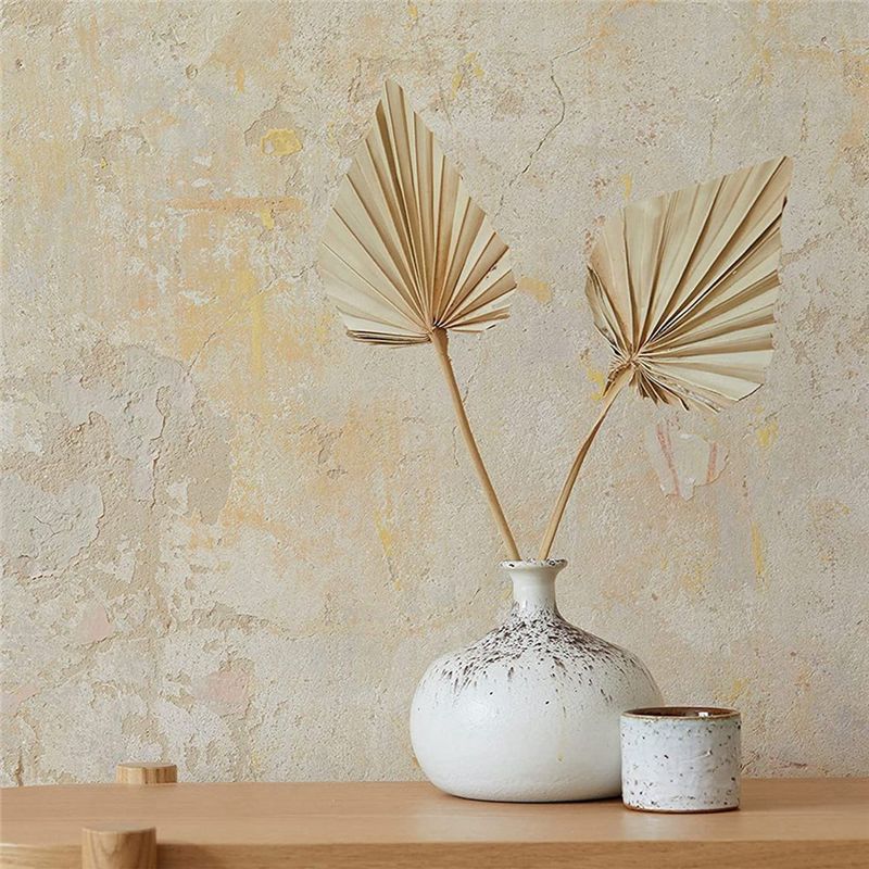 A36T-30 Pièces de feuilles de  - Palm Leaf Dried avis et prix