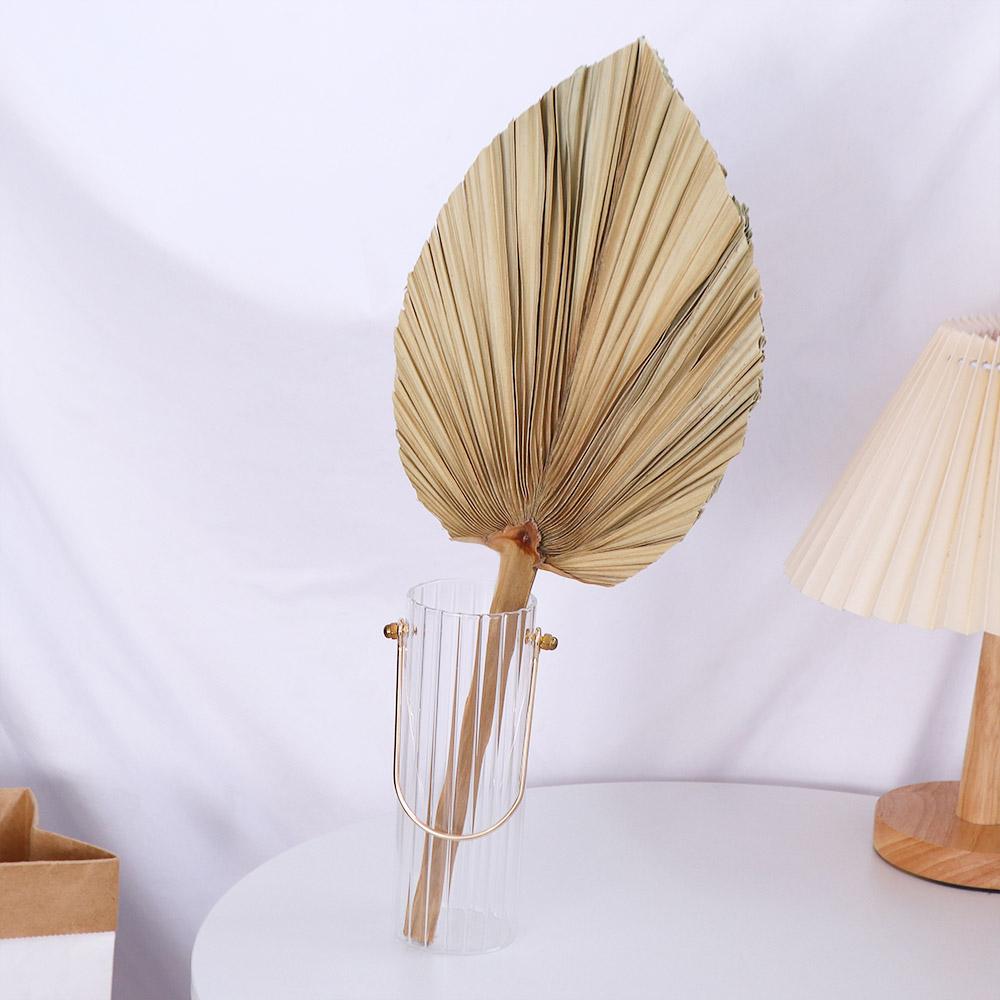 Feuilles de palmier naturelles - Palm Leaf Dried avis et prix