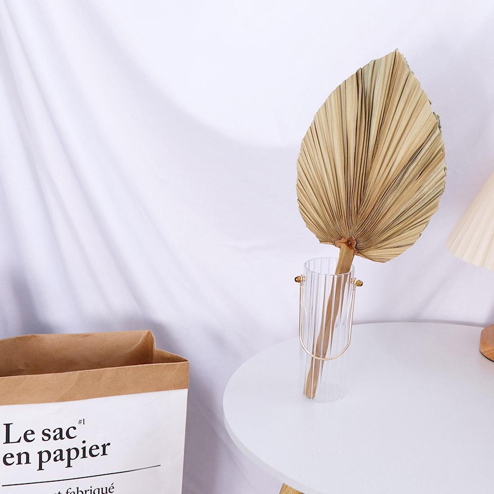 Feuilles de palmier naturelles - Palm Leaf Dried avis et prix