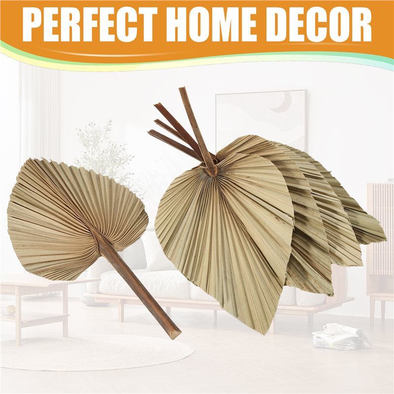 SEWS-5 feuilles de palmier séc - Palm Leaf Dried avis et prix